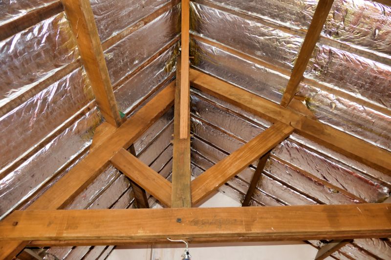 Rafter Insulation Installation in Georgetown, TX